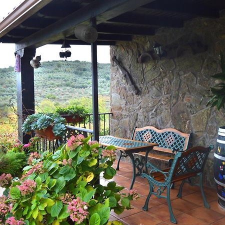 Casa Rural Los Olivos Sotoserrano Extérieur photo