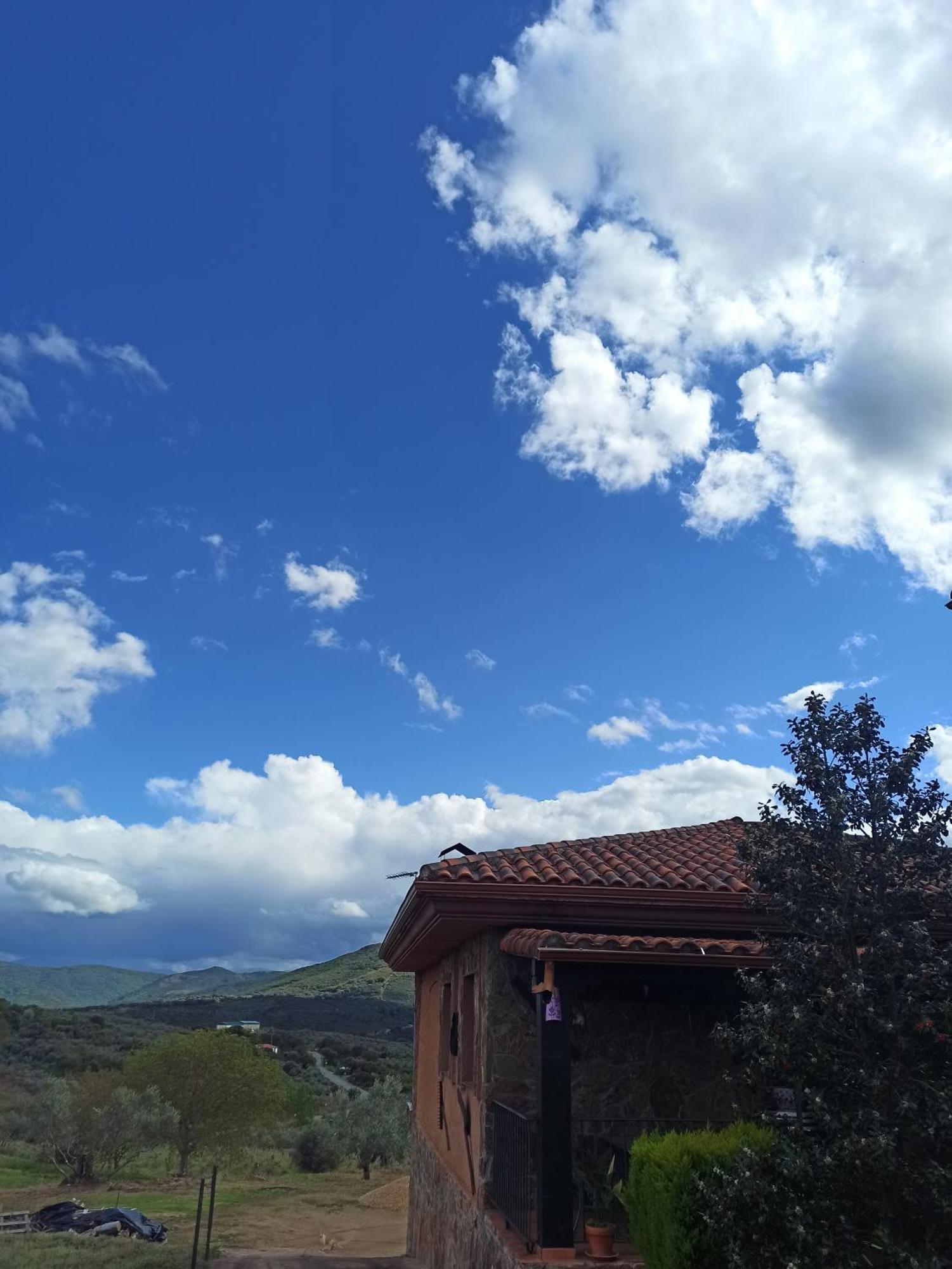 Casa Rural Los Olivos Sotoserrano Extérieur photo