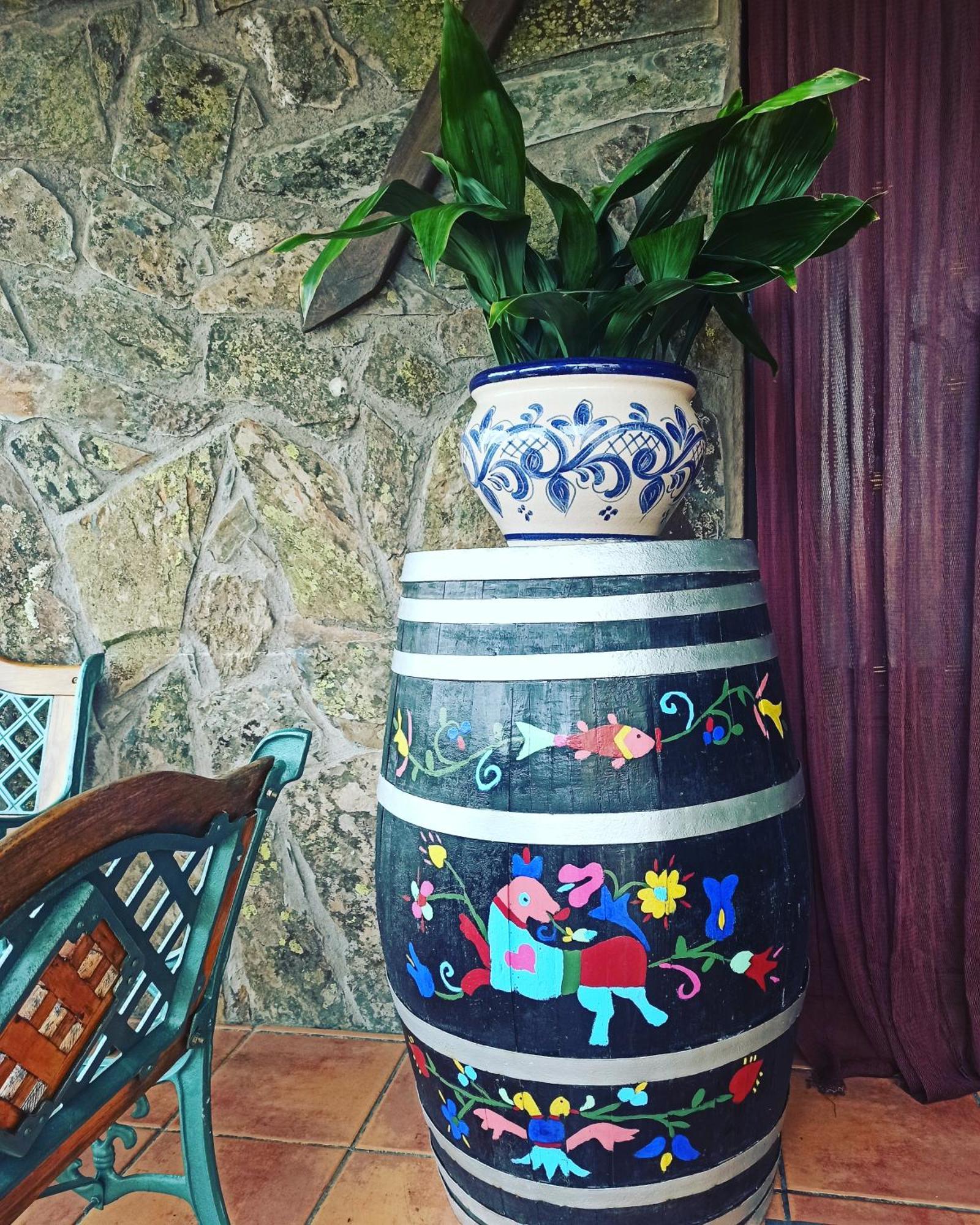 Casa Rural Los Olivos Sotoserrano Extérieur photo